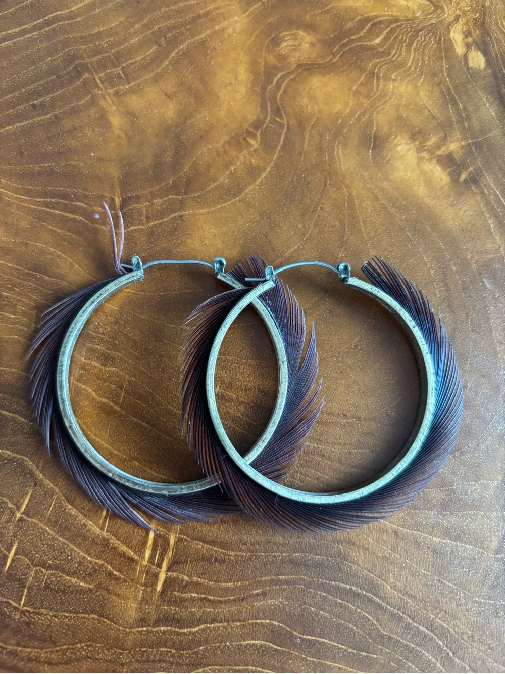 Free People Bronze Hoop Earrings with Brown Feather Trim